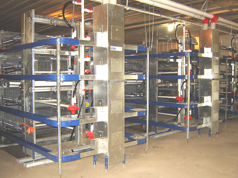 FDI stacked cages fitted with blue chain feeding hoppers