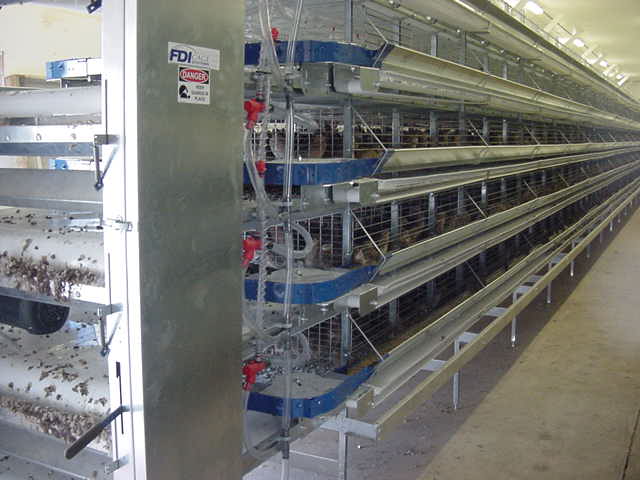 Row of FDI stacked quail cages